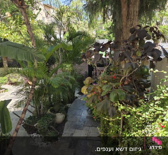 שביל גינה עם צמחים ועצים ירוקים